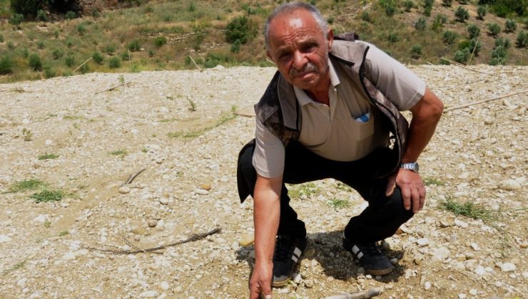 Binbir Emekle Dikti Gözü Gibi Baktı, Bir Gün Geldiğinde Hepsinin Yok Olduğunu Gördüğünde Kahroldu!