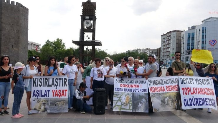 AKP’nin Sokak Hayvanları Kanununa Tepki: Bu Teklif Kan Kokuyor