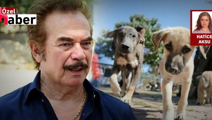 ‘Beni Orhan Gencebay yapan bir sokak köpeğidir’