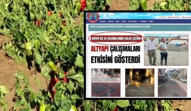 AKP’li Belediye’nin “Su birikintisi oluştu” dediği ilçede tonlarca mahsül ziyan oldu