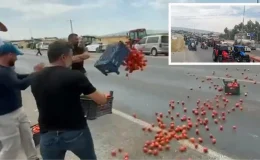 Kahramanmaraş’ta çiftçiler eylem yaptı! Kasa kasa domatesi yola döktüler